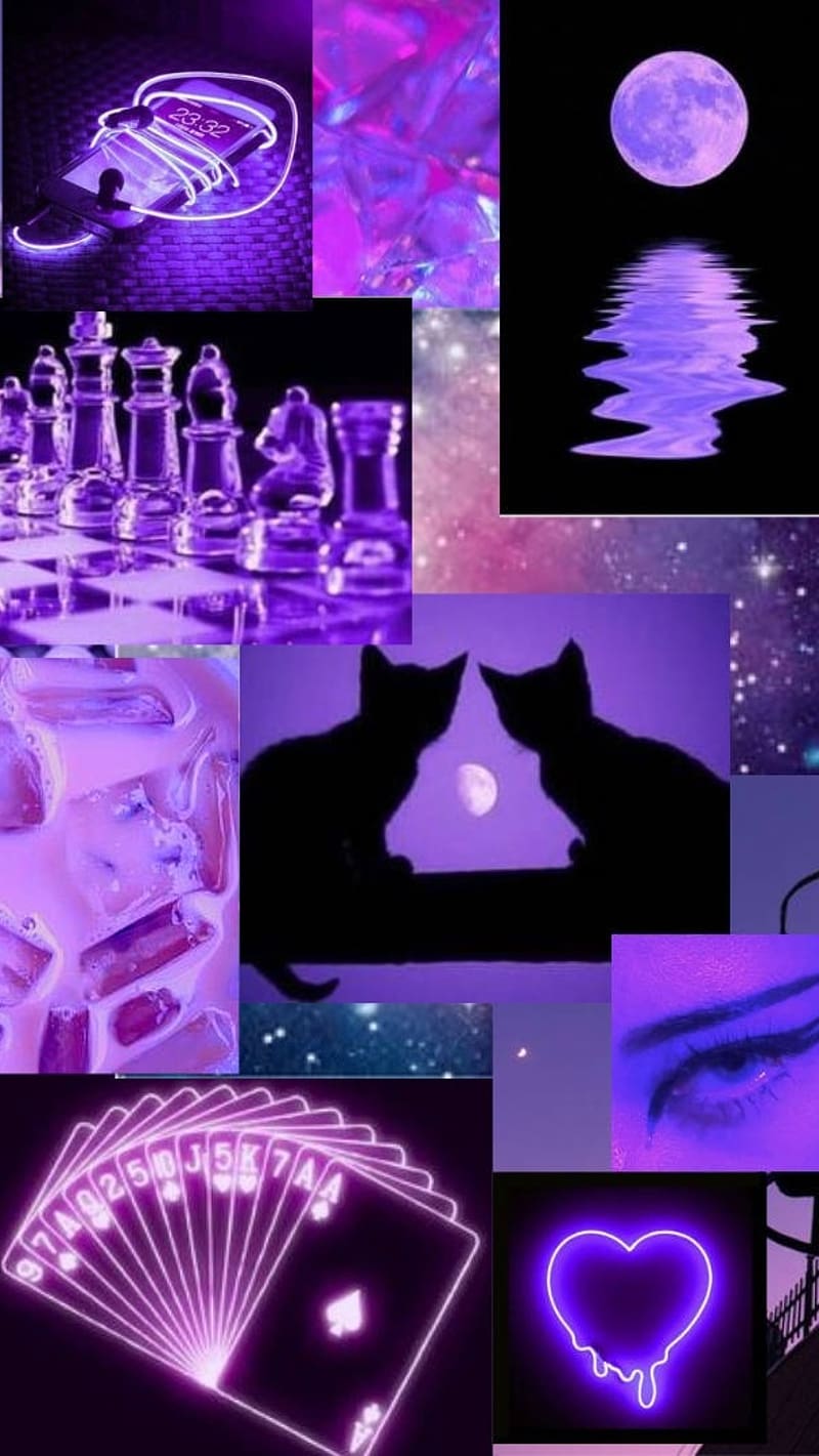 Aesthetic Purple, Moon And Cat, moon, cat, neon, HD phone wallpaper ...