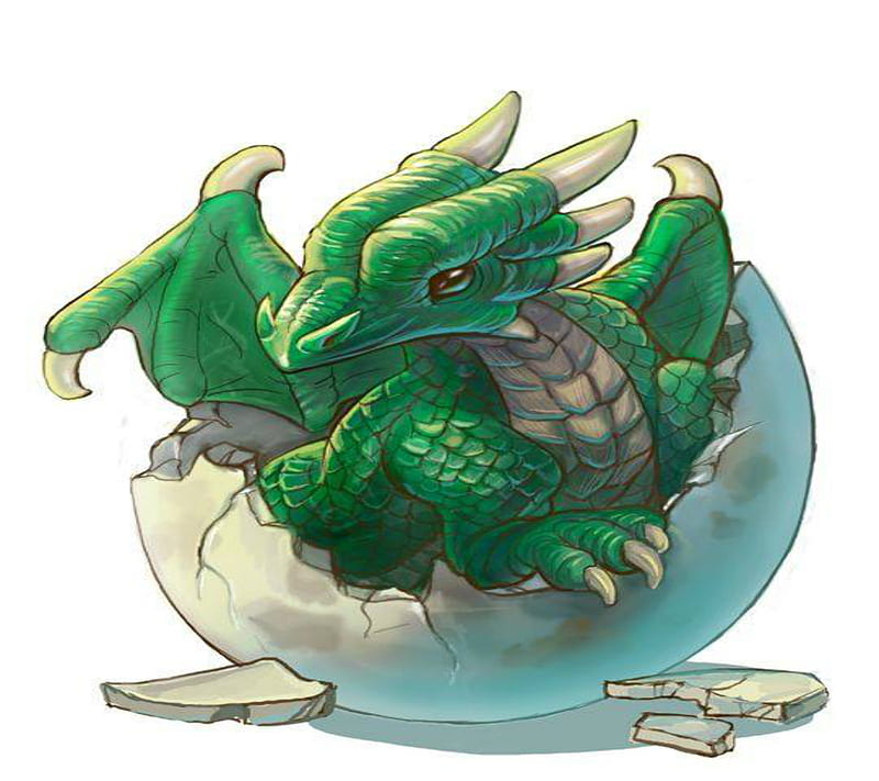 Dragon, cute, green dragon, HD wallpaper