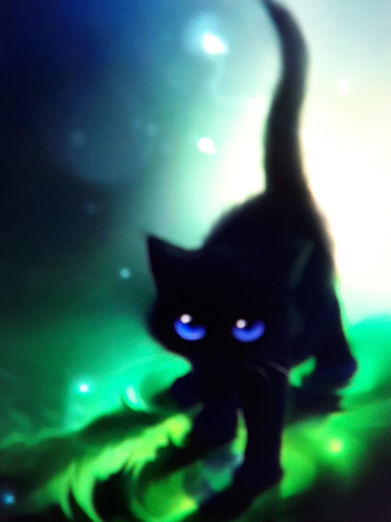 Black kitty, cats, halloween, HD phone wallpaper | Peakpx