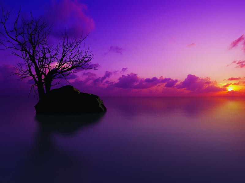 Purple Sunrise, rocks orange, scarlet, background, clouds, nice, stones, gold waterscape, morning, rivers, sunrises, islands, brightness, ocean, golden, sky, trees, lagoons, water, cool, beaches, purple, awesome, violet, hop, fullscreen, bay, red, bonito, trunks graphy, leaves, sunsets, land, mirror, pink, blue amazing, horizon, lakes, leaf, plants reflected, branches, reflections, scarlat, HD wallpaper