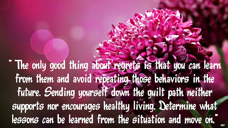 Regrets, Words, Pink, Sayings, Thoughts, Lessons, Nature, Flower, Quotes, HD wallpaper