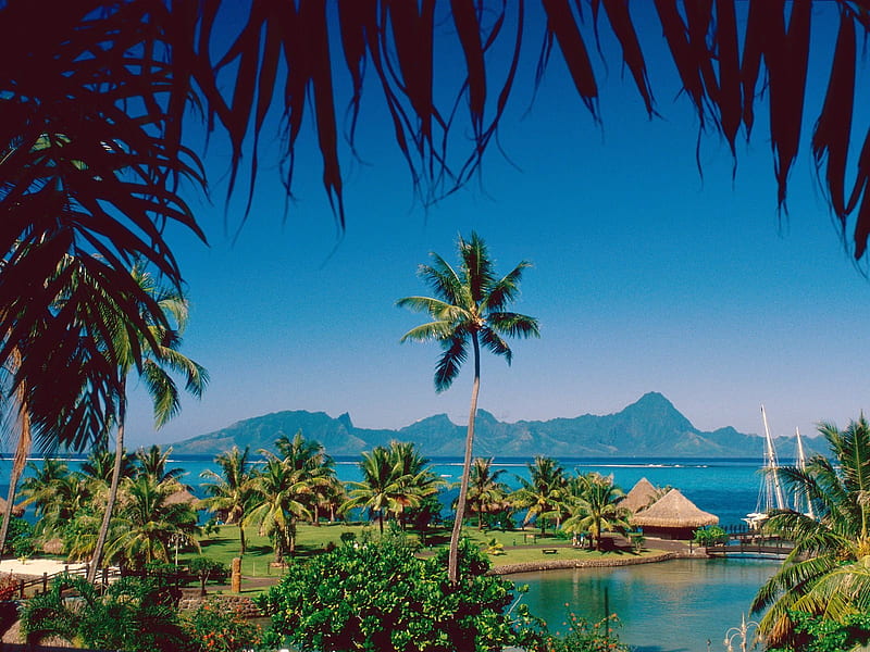 Moorea Island, Tahiti , polynesia, moorea, island, french, HD wallpaper