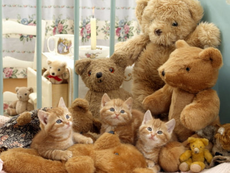 kittens and teddy bears, cute, kittens, cat, cats, animals, HD wallpaper