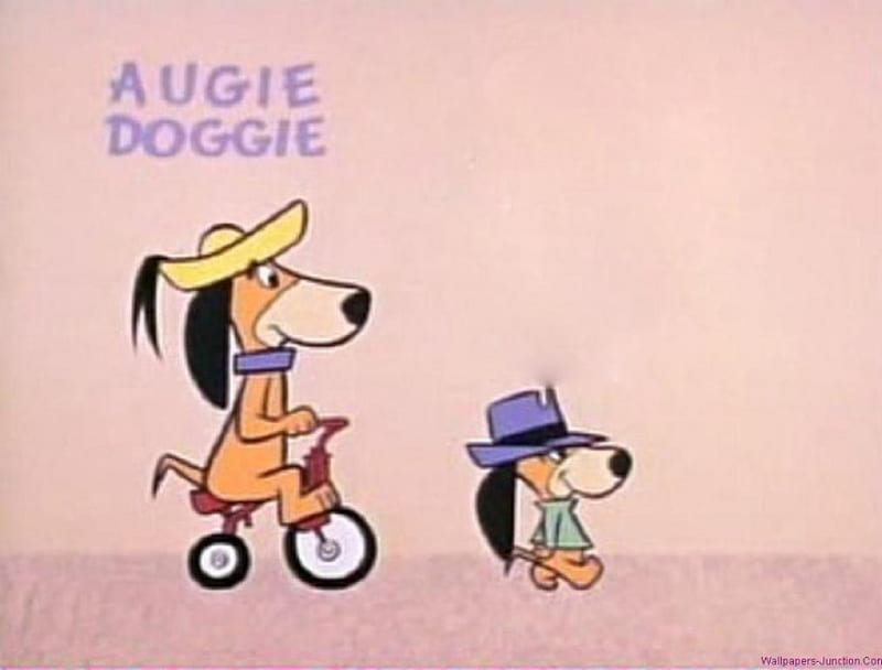 augie doggie, doggie, augie, daddy, tricycle, hat, HD wallpaper