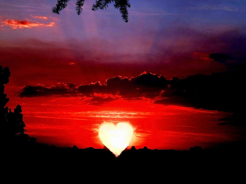 ♡ ❤, sunset, nature, love, heart, HD wallpaper | Peakpx