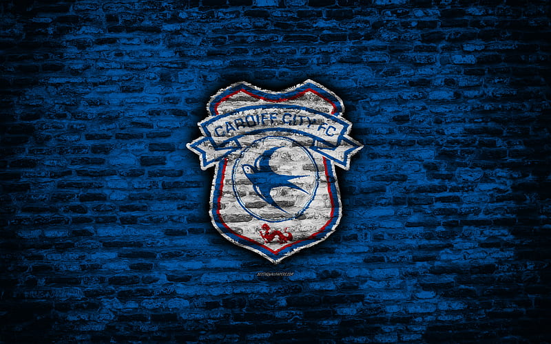 Cardiff City F.C. Wallpapers - Wallpaper Cave