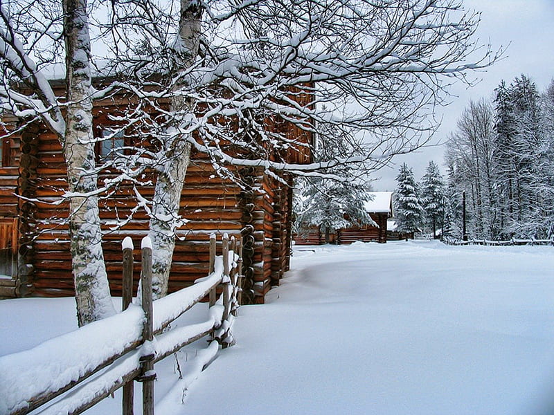 Old cottage, pretty, house, cottage, cabin, bonito, snowy, log cabin, cold, nice, path, calmness, lovely, trees, winter, serenity, snow, peaceful, nature, wooden, HD wallpaper