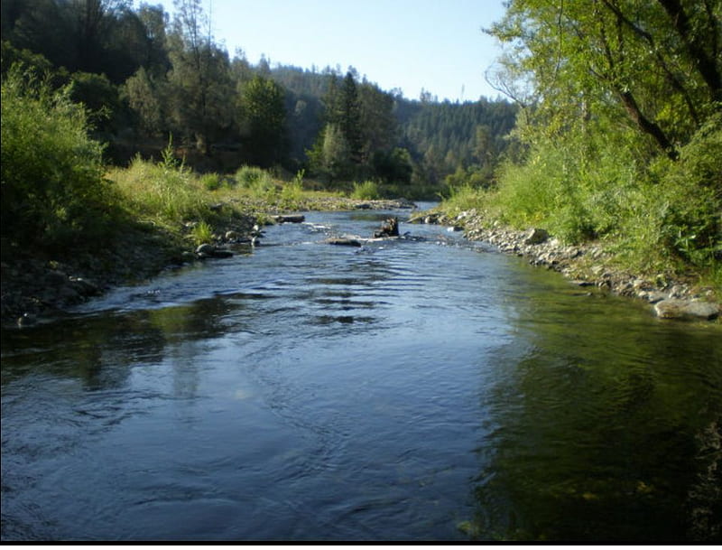 Trinity River, lakes, streams, fishing, rivers, HD wallpaper | Peakpx