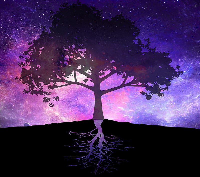galactic tree, galaxy, HD wallpaper
