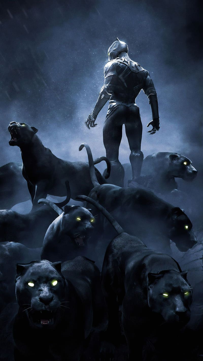 Black Panther Wakanda Forever, black panther , wakanda forever, movie, marvel, character, HD phone wallpaper