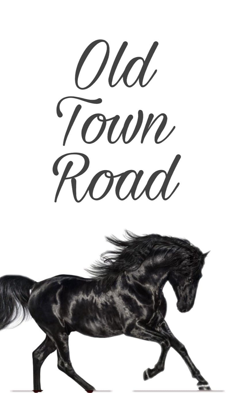 Old Town Road, black, cute, holy, horse, horses, mustangs, old town, oldtown, race, wild, HD phone wallpaper