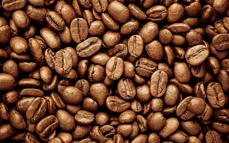 coffee beans, coffee concepts, large grains, coffee background, HD wallpaper