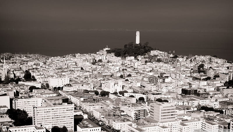 telegraph hill in san francisco, black and white, city, hill, tower, HD wallpaper