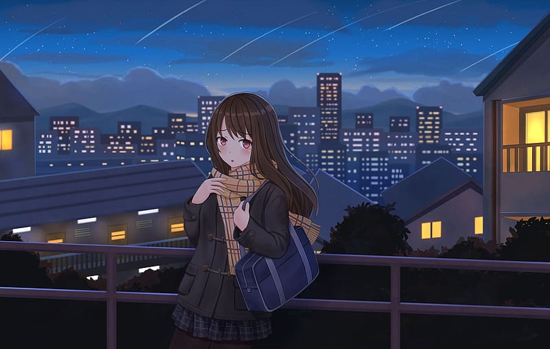 Anime, Stars, Night, City, Starry Sky, Original, Shooting Star, HD wallpaper