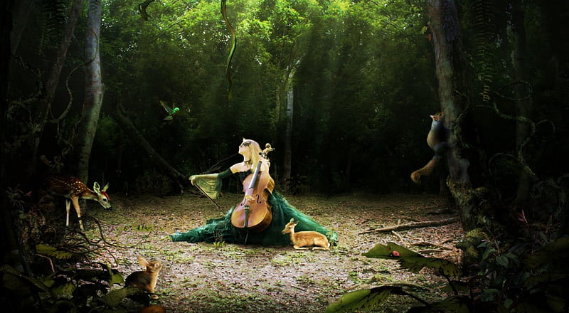 A Light Melody, rabbit, squirrel, music, woman, deer, cello, fantasy, bird, nature, snake, HD wallpaper