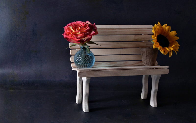 Still Life, sunflowers, rose, vases, flowers, bench, roses, HD wallpaper