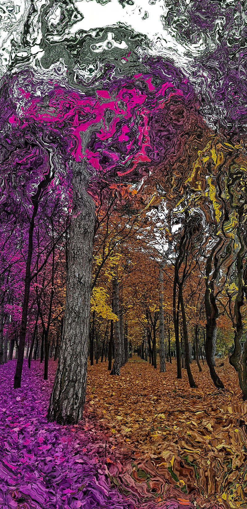 Trippy Forest, autumn, colour, devnville, HD phone wallpaper