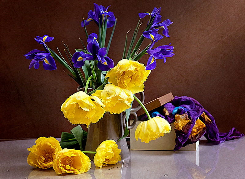 Compliments, still life, yellow tulips, purple iris, flowers, scarf, box, tulips, iris, HD wallpaper