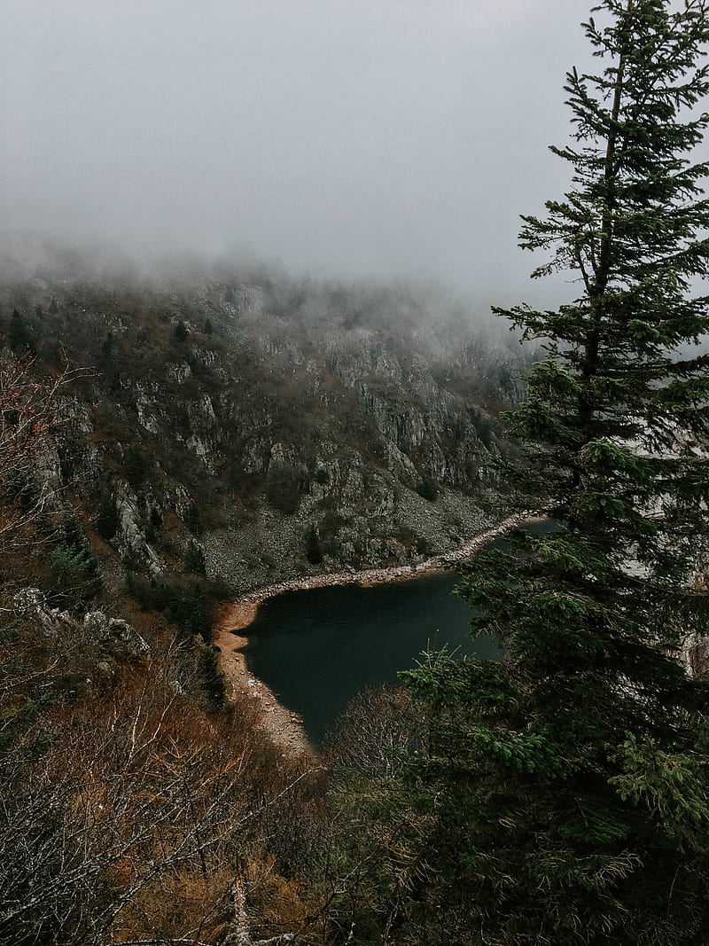 cliff, shore, trees, fog, landscape, HD phone wallpaper
