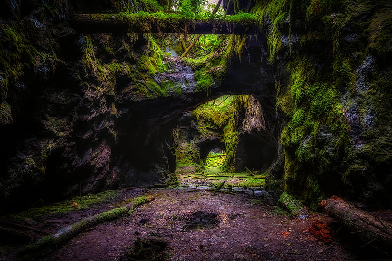 Mossy Cave, rocks, red, moist, Sweden, nooks, cave, tunnels, green, moss, pink, unique, purple, deep, serene, dark, plants, peaceful, hidden, HD wallpaper