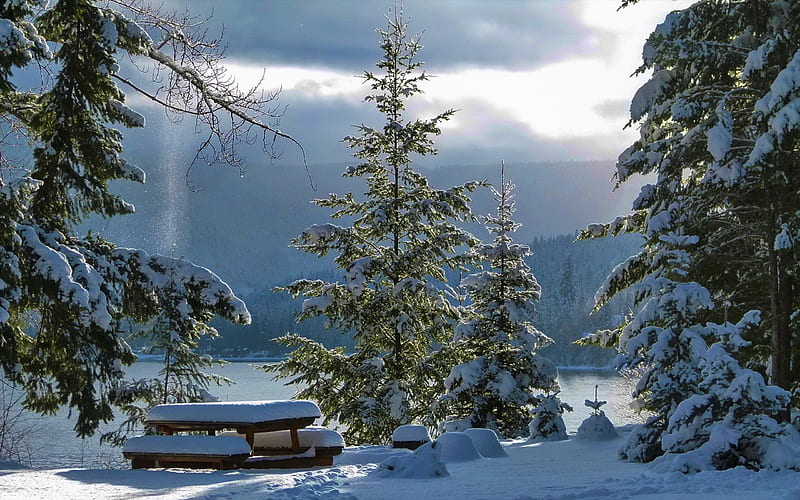 Winter time, rest, mountain, view, time, snow, bench, trees, winter, HD wallpaper