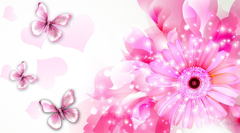 Butterfly Gerberas in Pinks, gerberas, shine, butterflies, spring, abstract, corazones, sparkle, daisies, summer, flowers, pink, HD wallpaper