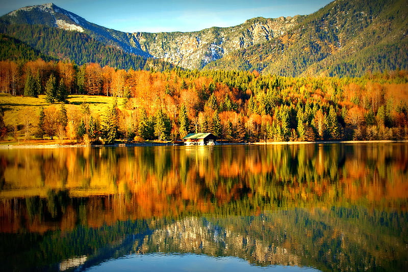 Golden october, fall, rocks, colorful, autumn, house, riverbank, shore, cottage, falling, cabin, foliage, mirrored, mountain, river, reflection, quiet, calmness, view, clear, golden, sky, trees, lake, water, tranquil, serenity, crystal, nature, lakeshore, october, HD wallpaper