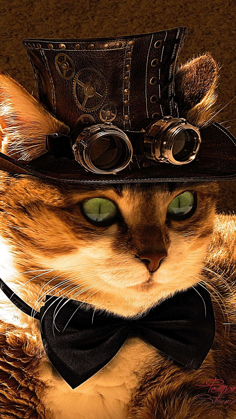 Steampunk Cat, HD phone wallpaper