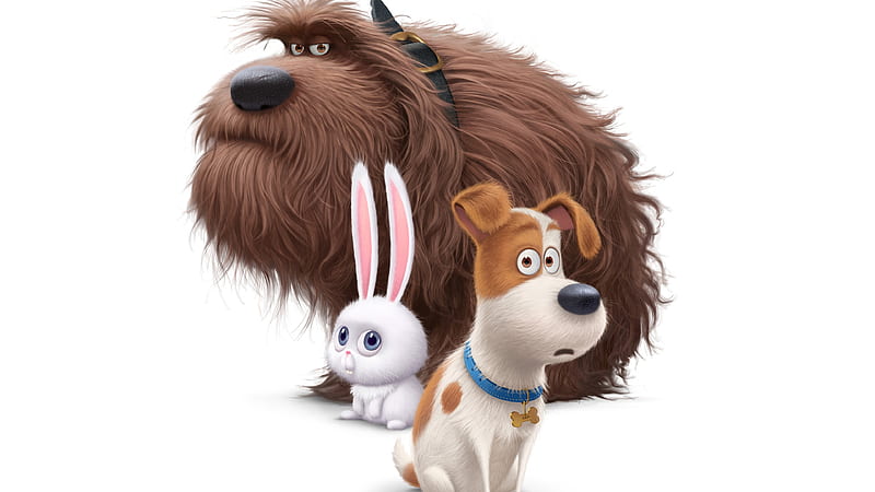 The Secrete Life of Pets Movie Dogs, the-secret-life-of-pets, movies,  animated-movies, HD wallpaper | Peakpx