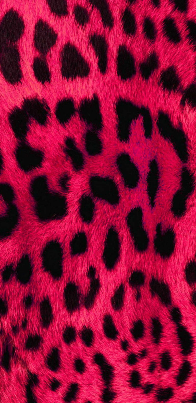 furr furr, pink, red, black, leopard, HD phone wallpaper