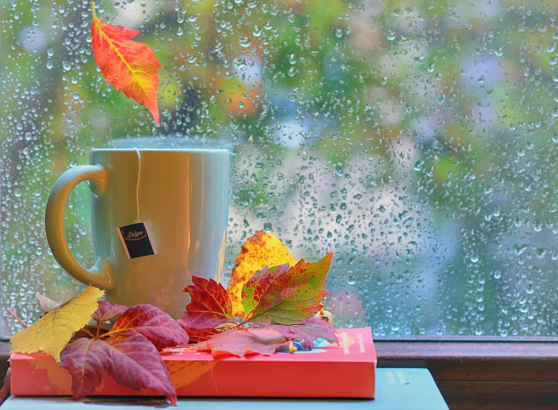 Rainy day, red, autumn, water drops, yellow, cup, rain, tea, leaf, HD wallpaper