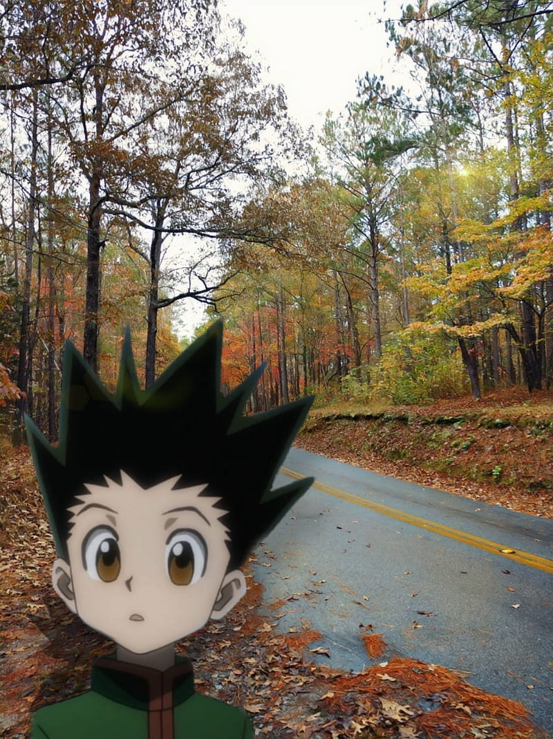 Gon cs , anime, hxh, HD phone wallpaper