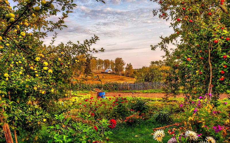 COUNTRYSIDE GARDEN, farm, fence, house, blossoms, garden, apple trees, field, HD wallpaper