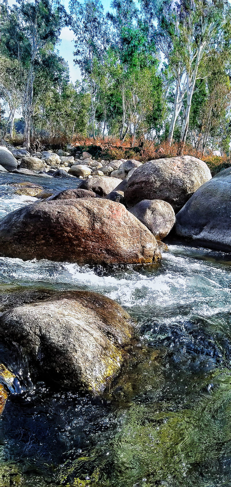 Himachal River, mountain, palampur, HD phone wallpaper