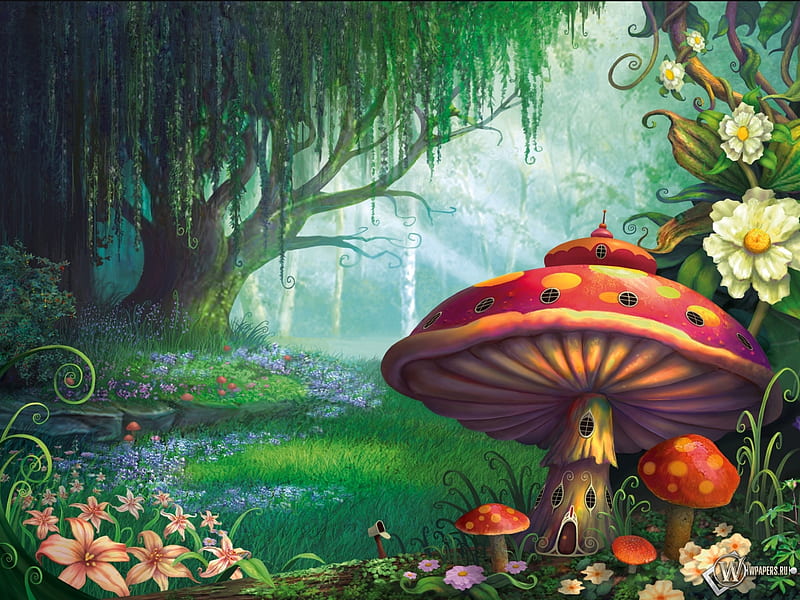 Enchanted forest, art, forest, mushrooms, fantasy, HD wallpaper