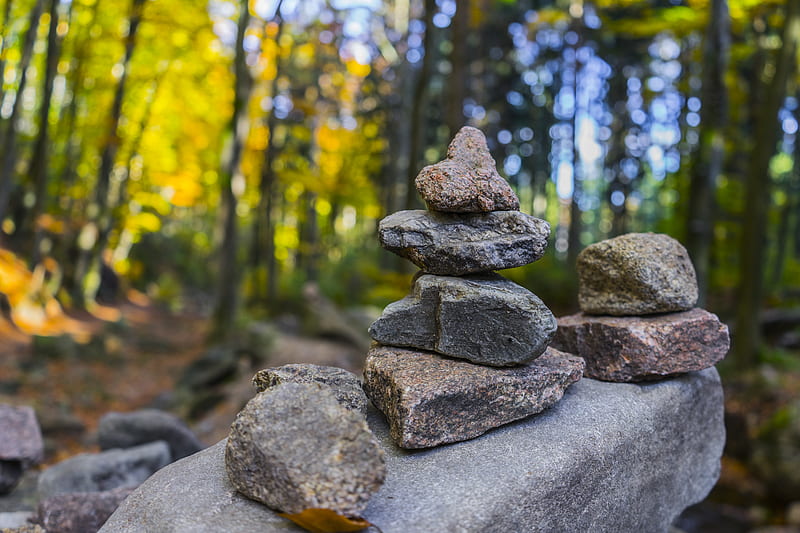 Gray Pile of Stones Near Trees, HD wallpaper