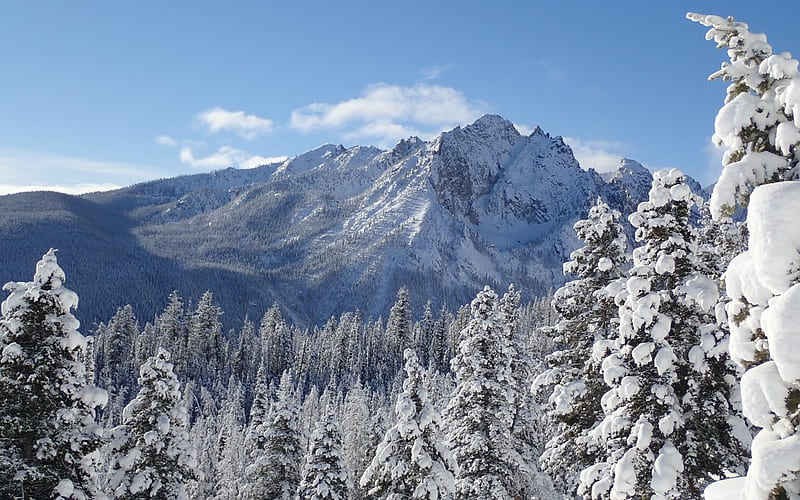 Sawtooth Mountains, Idaho, usa, snow, peaks, ice, trees, rocky mountains, sky, HD wallpaper