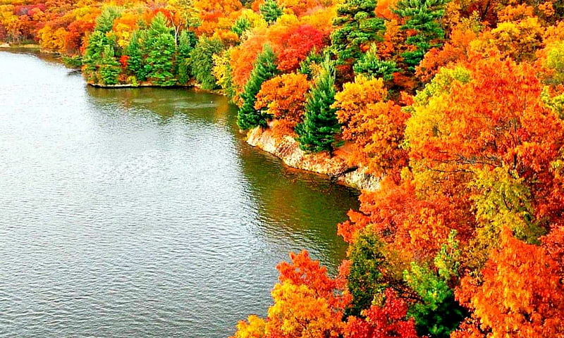 AUTUMN, colors of nature, forest, seasons, lake, tree, splendor, bright ...