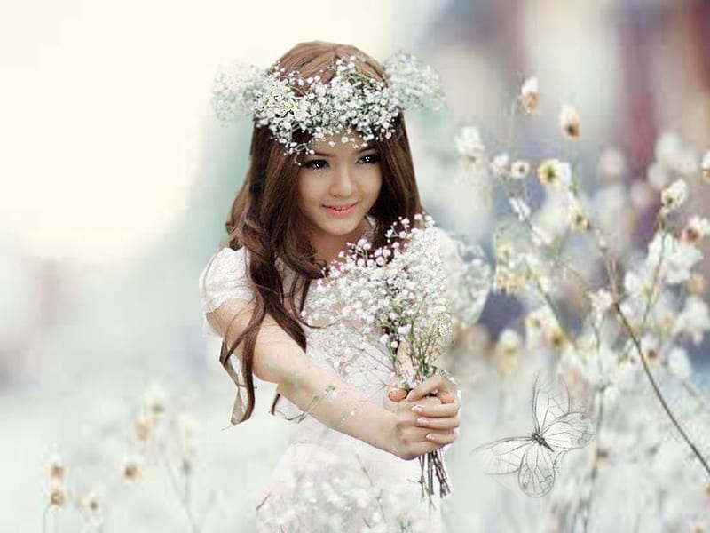 HD wallpaper person holding flowers person holding babys breath flowers   Wallpaper Flare