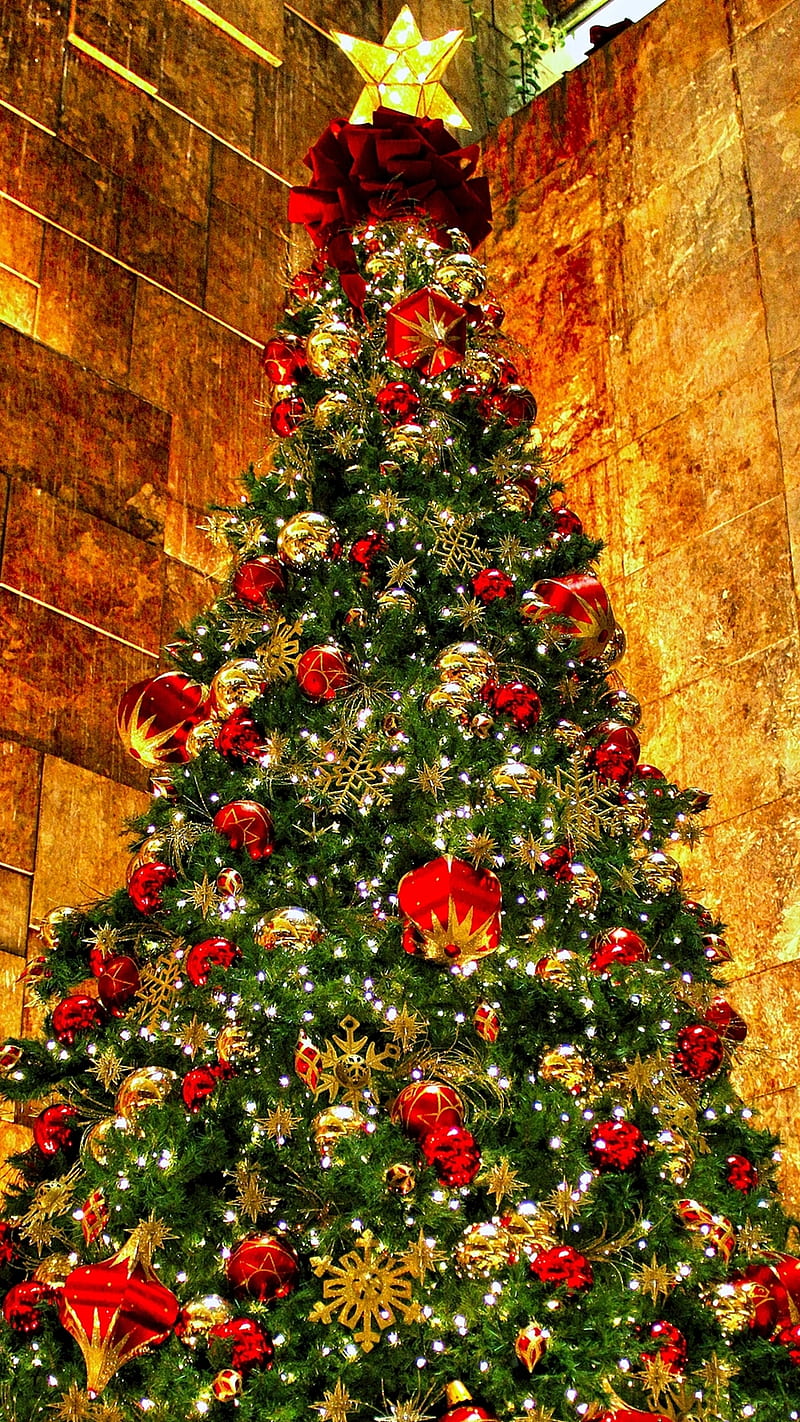 Christmas Tree, holiday, x-mas, xmas, HD phone wallpaper