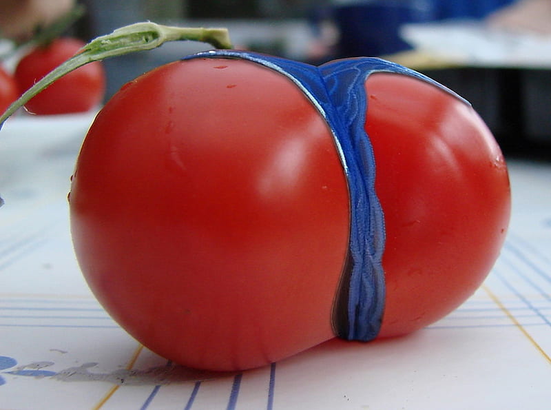 Hot tomato, tomato, 3d, hot, mixed-fruit, abstract, HD wallpaper