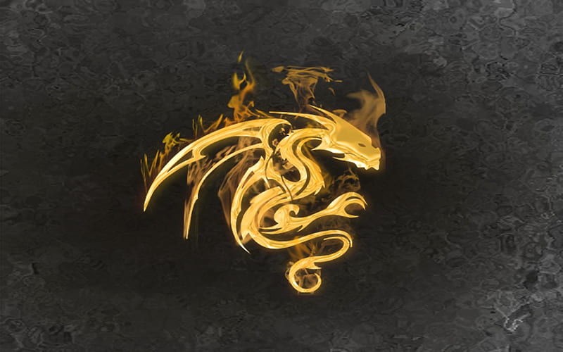 fire dragon, fire, gold, tribal, flames, golden, dragon, HD wallpaper