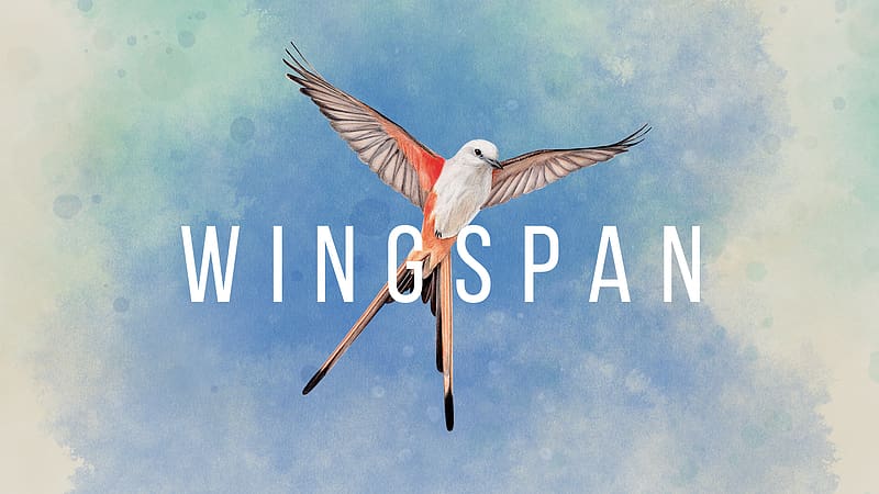 Bird, Game, Wingspan, HD wallpaper