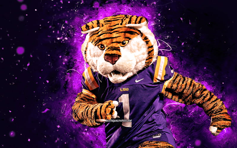 LSU Tigers mascot, HD wallpaper