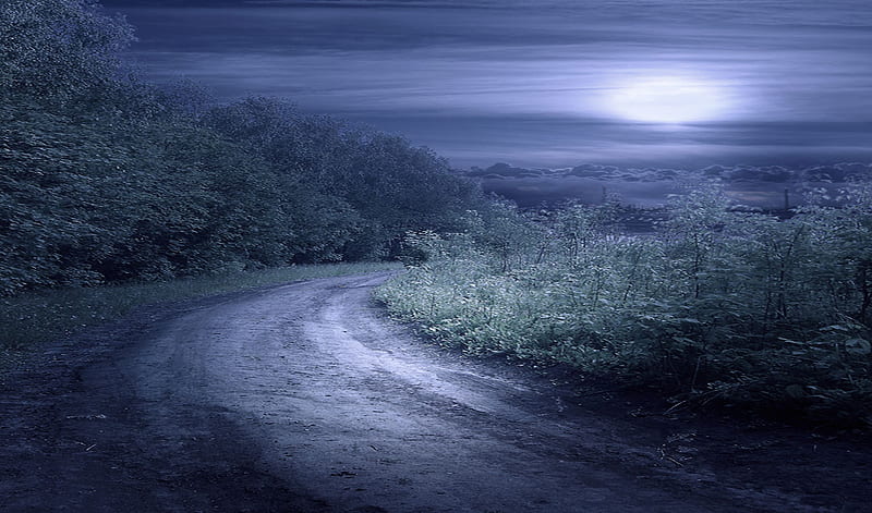 MYSTIC NIGHT, forest, moonlight, road, clouds, sky, mystic, night, HD wallpaper