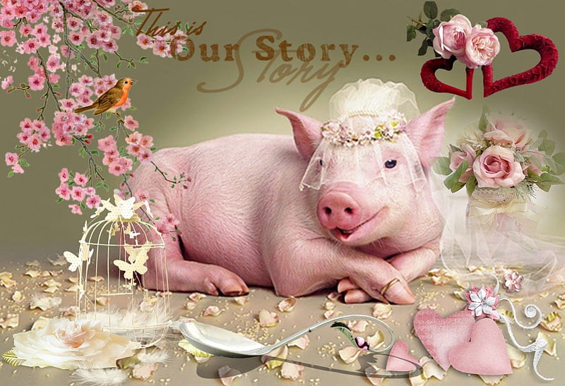 Pig Wedding, pig, rose, flower, spring, wedding, pink, happy, HD wallpaper