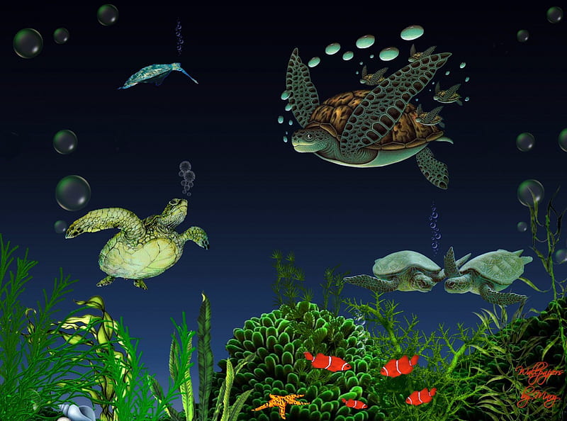 I Love Turtles 1600x1200, Turtles, Underwater, MarineLife, Turtle, HD wallpaper