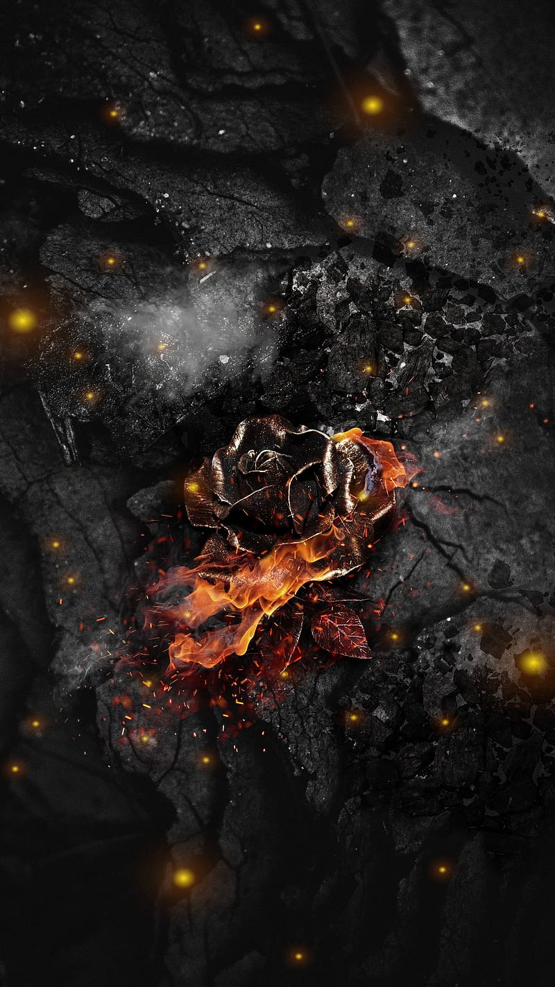 Burning rose, love, broken heart, dark, fire, HD phone wallpaper