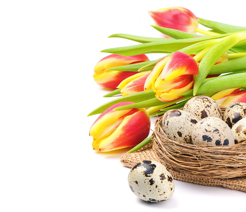 Tulips, Easter, holidays, basket, celebration, eggs, flowers, event, HD wallpaper