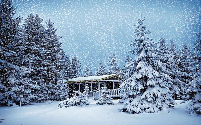 Christmas Snowstorm, nature, snowstorm, christmas, winter, HD wallpaper